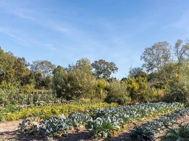 Agli Amici Dopolavoro Venezia
